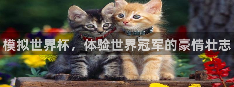 模拟世界杯，体验世界冠军的豪情壮志