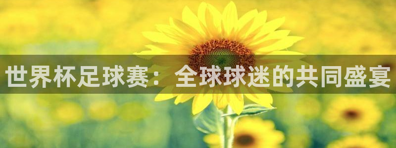 世界杯足球赛：全球球迷的共同盛宴