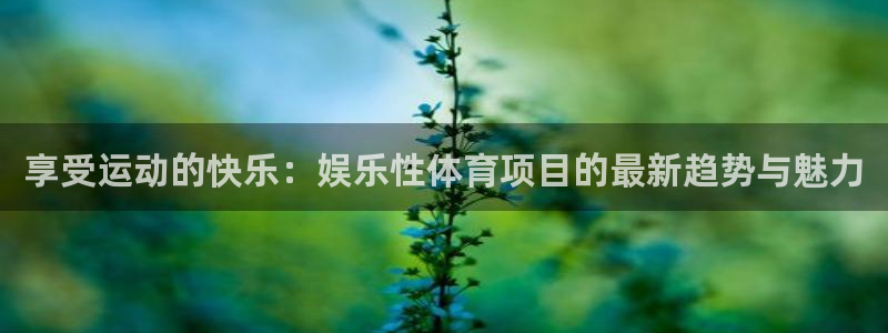 享受运动的快乐：娱乐性体育项目的最新趋势与魅力