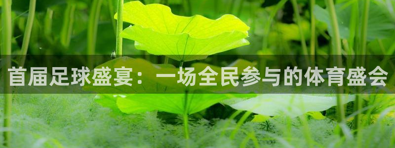 首届足球盛宴：一场全民参与的体育盛会