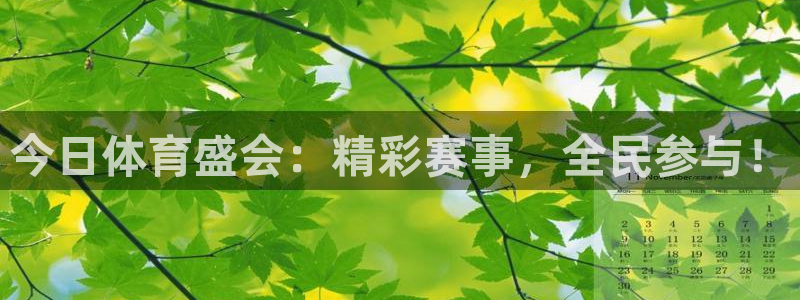 今日体育盛会：精彩赛事，全民参与！