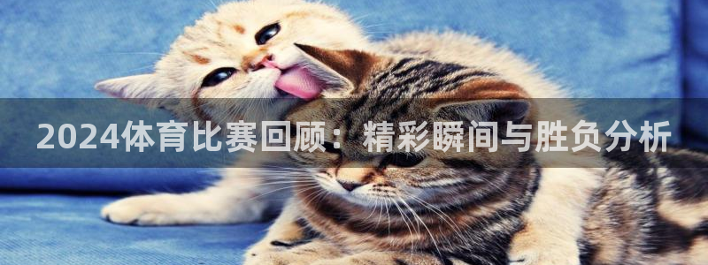 2024体育比赛回顾：精彩瞬间与胜负分析