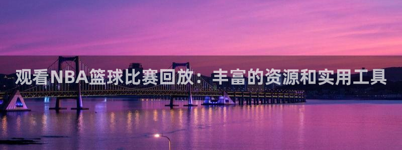 观看NBA篮球比赛回放：丰富的资源和实用工具