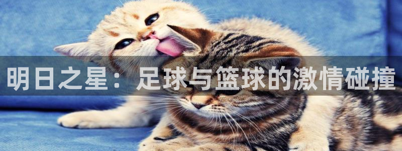 明日之星：足球与篮球的激情碰撞