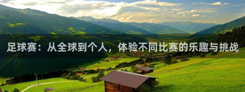 足球赛：从全球到个人，体验不同比赛的乐趣与挑战