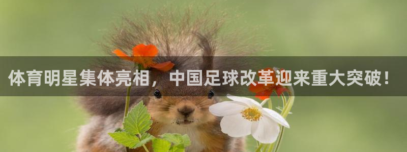 体育明星集体亮相，中国足球改革迎来重大突破！