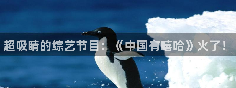 超吸睛的综艺节目：《中国有嘻哈》火了！
