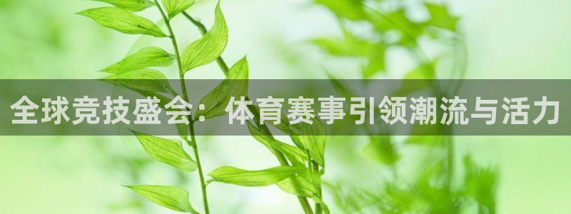 全球竞技盛会：体育赛事引领潮流与活力