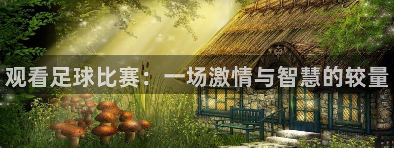 观看足球比赛：一场激情与智慧的较量