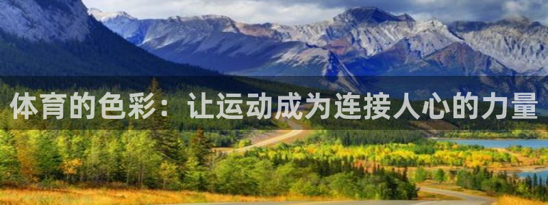 体育的色彩：让运动成为连接人心的力量