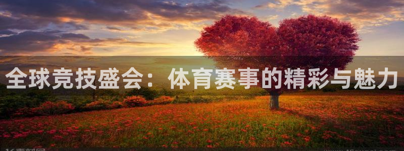 全球竞技盛会：体育赛事的精彩与魅力