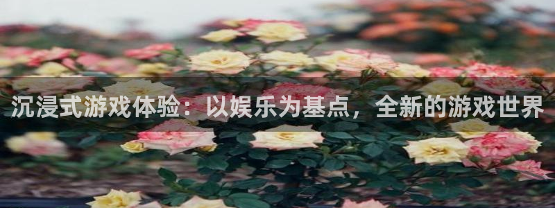 沉浸式游戏体验：以娱乐为基点，全新的游戏世界