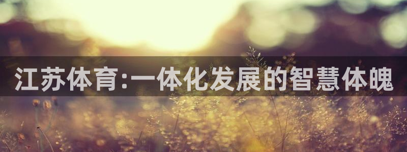 江苏体育:一体化发展的智慧体魄