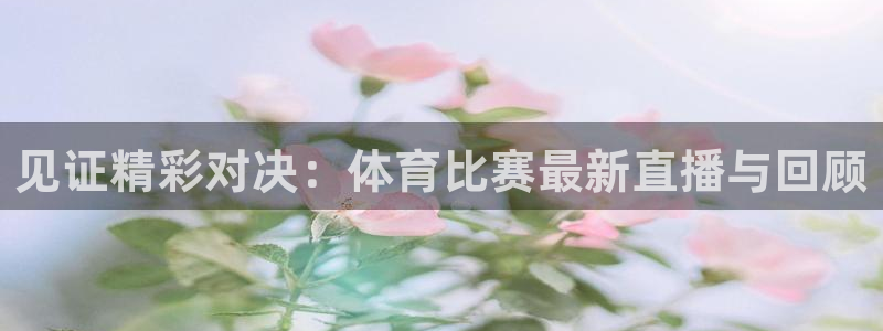 见证精彩对决：体育比赛最新直播与回顾