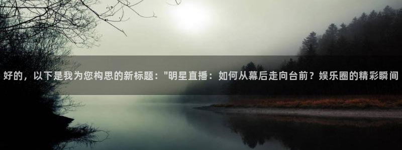 好的，以下是我为您构思的新标题：\