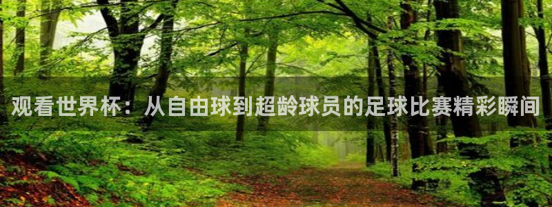 观看世界杯：从自由球到超龄球员的足球比赛精彩瞬间