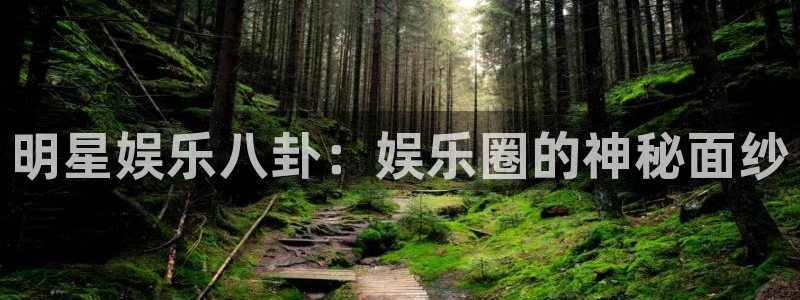 明星娱乐八卦：娱乐圈的神秘面纱