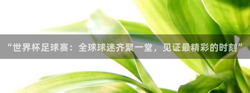 “世界杯足球赛：全球球迷齐聚一堂，见证最精彩的时刻”