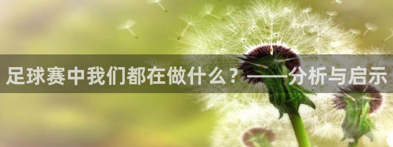 足球赛中我们都在做什么？——分析与启示