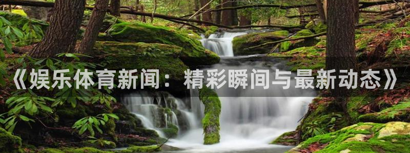 《娱乐体育新闻：精彩瞬间与最新动态》