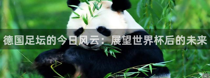 德国足坛的今日风云：展望世界杯后的未来