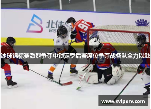 冰球锦标赛激烈争夺中锁定季后赛席位争夺战各队全力以赴