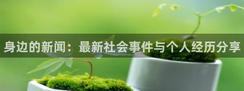 身边的新闻：最新社会事件与个人经历分享