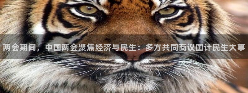 两会期间，中国两会聚焦经济与民生：多方共同商议国计民生大事