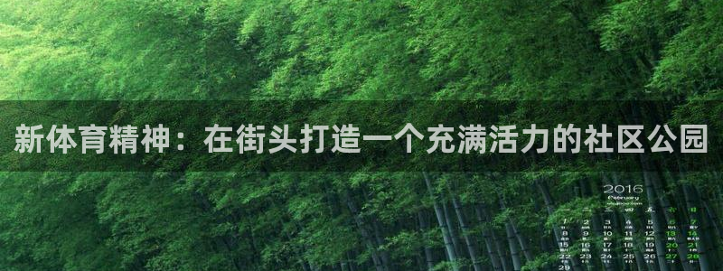 新体育精神：在街头打造一个充满活力的社区公园