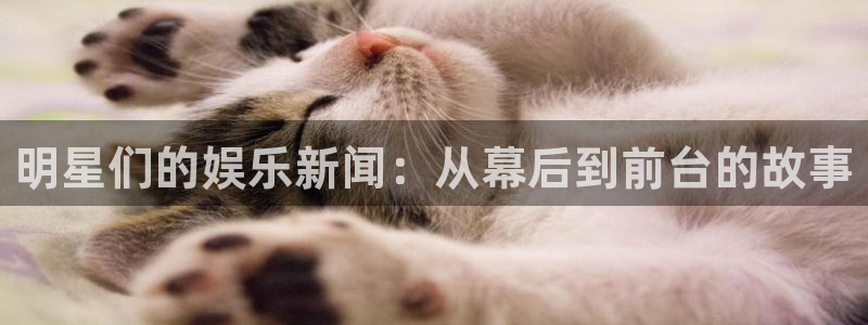 明星们的娱乐新闻：从幕后到前台的故事
