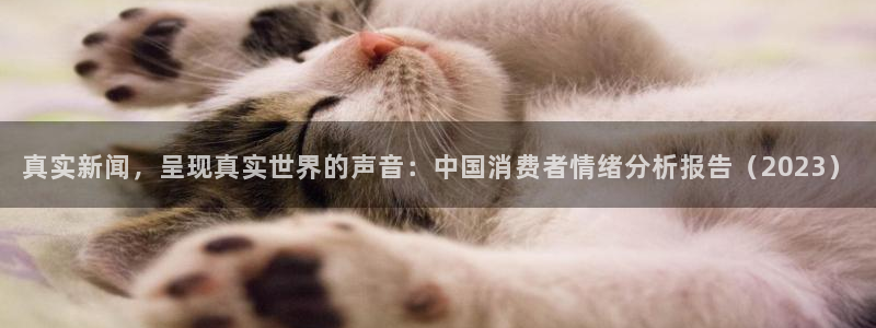 真实新闻，呈现真实世界的声音：中国消费者情绪分析报告（2023）