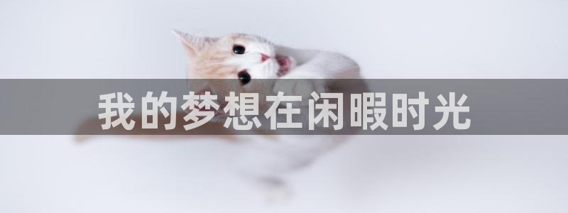 我的梦想在闲暇时光