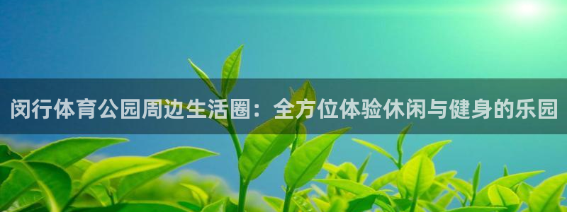 闵行体育公园周边生活圈：全方位体验休闲与健身的乐园