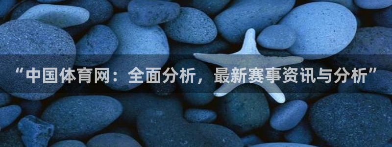 “中国体育网：全面分析，最新赛事资讯与分析”