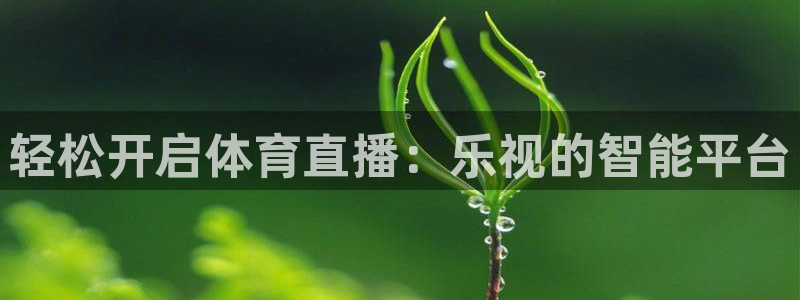 轻松开启体育直播：乐视的智能平台
