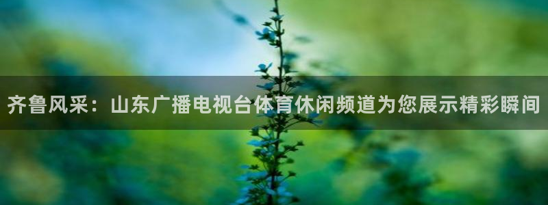 齐鲁风采：山东广播电视台体育休闲频道为您展示精彩瞬间