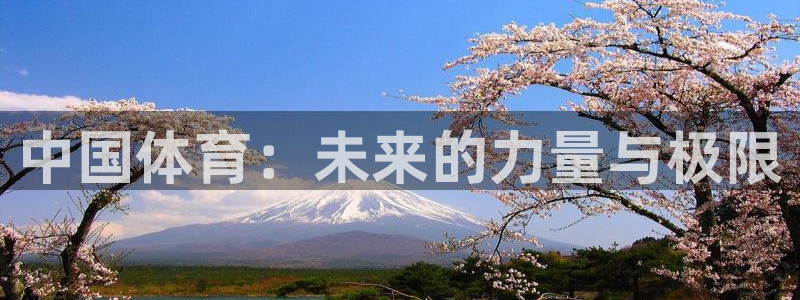 中国体育：未来的力量与极限