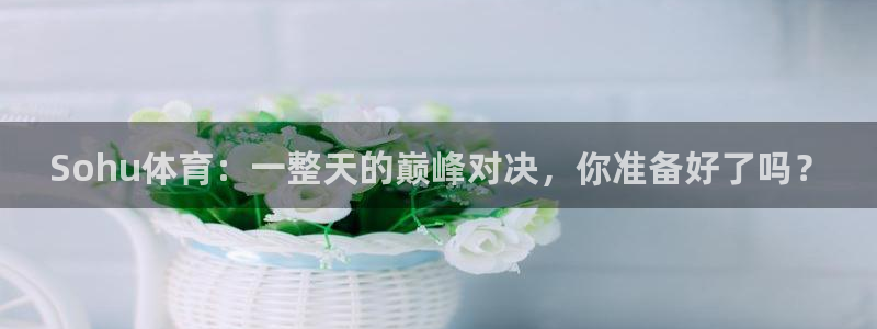 Sohu体育：一整天的巅峰对决，你准备好了吗？