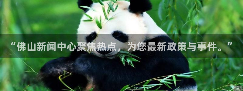 “佛山新闻中心聚焦热点，为您最新政策与事件。”