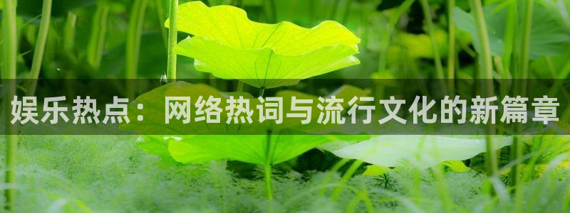 娱乐热点：网络热词与流行文化的新篇章