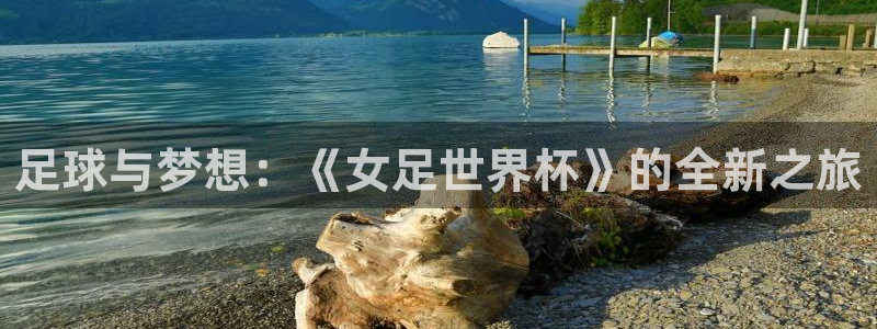 足球与梦想：《女足世界杯》的全新之旅