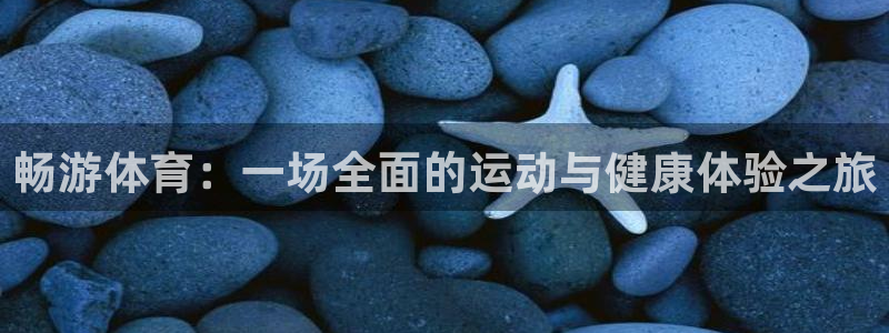 畅游体育：一场全面的运动与健康体验之旅