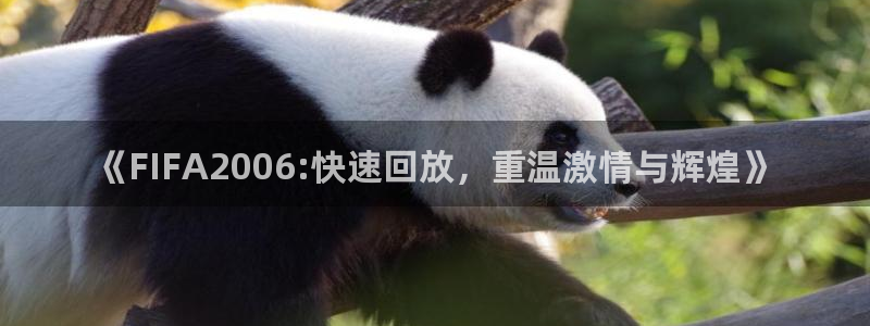 《FIFA2006:快速回放，重温激情与辉煌》