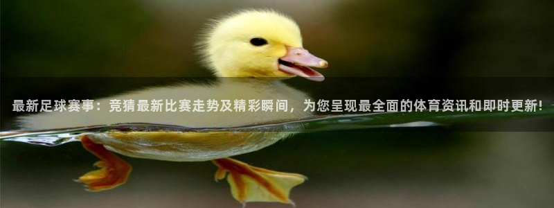 最新足球赛事：竞猜最新比赛走势及精彩瞬间，为您呈现最全面的体育资讯和即时更新!