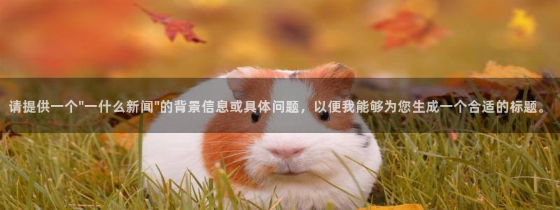请提供一个\