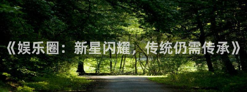 《娱乐圈：新星闪耀，传统仍需传承》