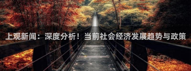 上观新闻：深度分析！当前社会经济发展趋势与政策