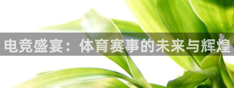 电竞盛宴：体育赛事的未来与辉煌