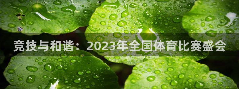 竞技与和谐：2023年全国体育比赛盛会