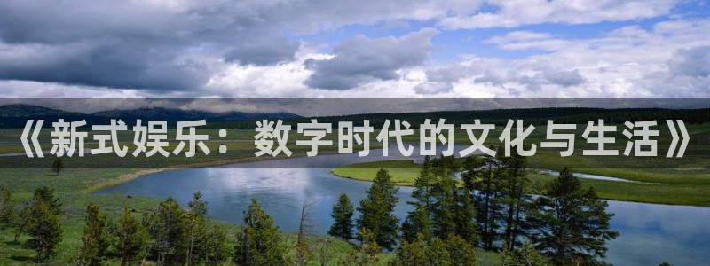 《新式娱乐：数字时代的文化与生活》